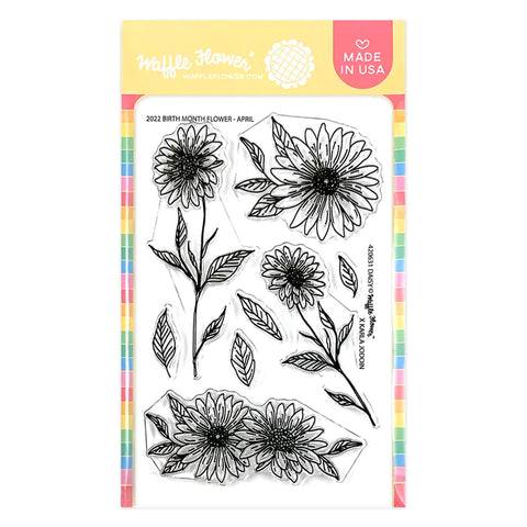 DAISY APRIL BIRTH FLOWER