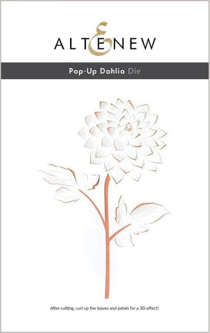 POP UP DAHLIA