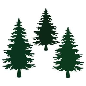 PINE TREES